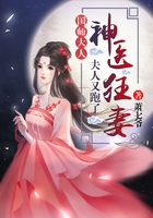 神医狂妻：国师大人，夫人又跑了风如倾南弦