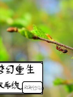 梦幻重生双系统