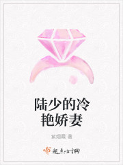 陆少的冷艳娇妻